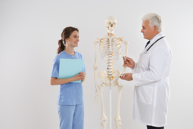 Professional orthopedist with human skeleton model teaching medical student against light background