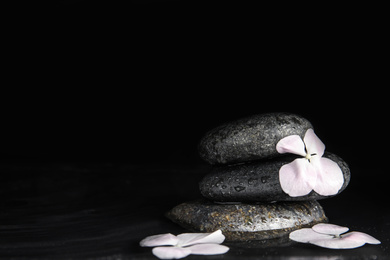 Photo of Stones and flowers in water on black background, space for text. Zen lifestyle