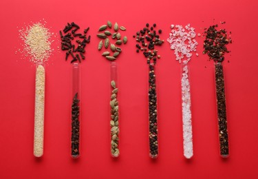 Glass tubes with different spices on red background, flat lay