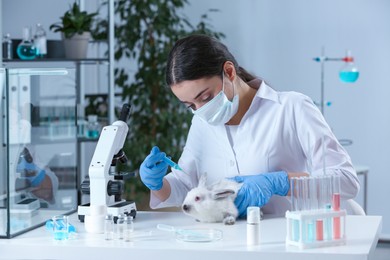 Scientist with syringe and rabbit in chemical laboratory. Animal testing