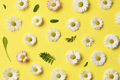 Many beautiful daisy flowers and leaves on yellow background, flat lay