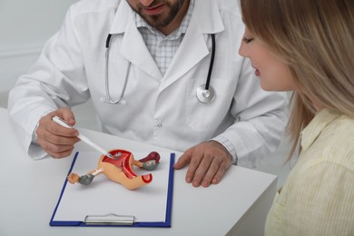 Gynecologist demonstrating model of female reproductive system to young woman in clinic, closeup