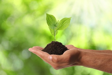 Man holding small plant in soil on blurred background, closeup. Ecology protection