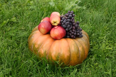 Ripe pumpkin, grapes and apples on green grass. Autumn harvest