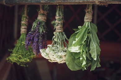 Photo of Bunches of different beautiful dried flowers hanging on wooden stick indoors