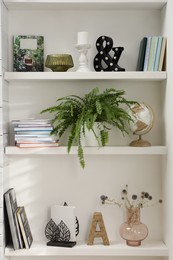 Beautiful green plant and different decor on shelves in room. Interior design