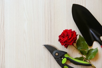 Photo of Secateurs, rose and shovel on white wooden table, flat lay. Space for text
