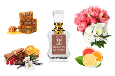 Image of Bottle of perfume, flowers and spices on white background, collage