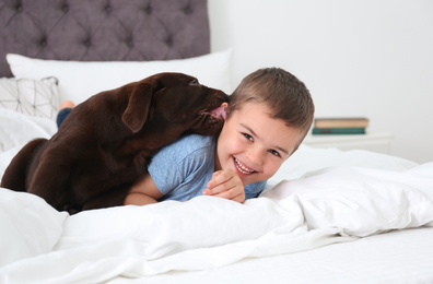 Funny puppy and little boy on bed at home. Friendly dog