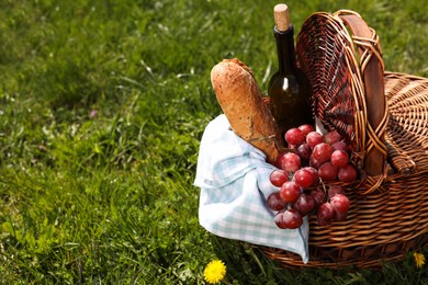 Wicker basket with picnic blanket, bottle of wine, grapes and bread on green grass. Space for text