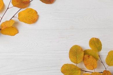 Photo of Branches with autumn leaves on white wooden table, flat lay. Space for text