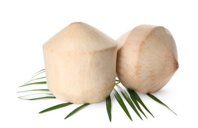 Photo of Young peeled coconuts with palm leaf on white background