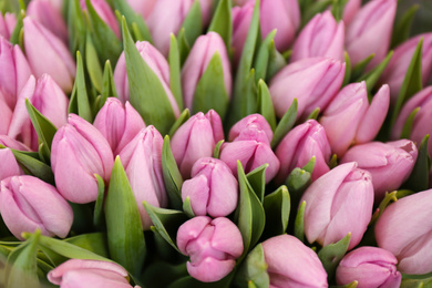 Beautiful bouquet of violet tulip flowers as background, closeup