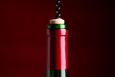 Opening bottle of wine with corkscrew on burgundy background
