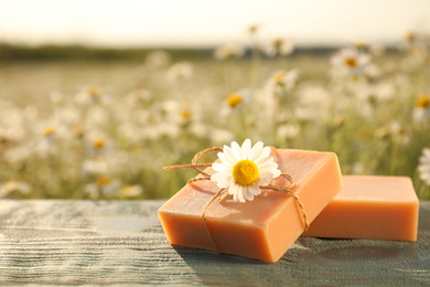 Chamomile soap bars on blue wooden table in field