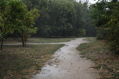 View of beautiful park during rain in autumn