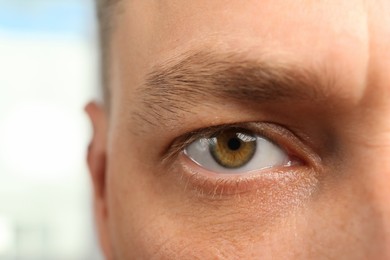 Closeup view of man with beautiful eye on blurred background