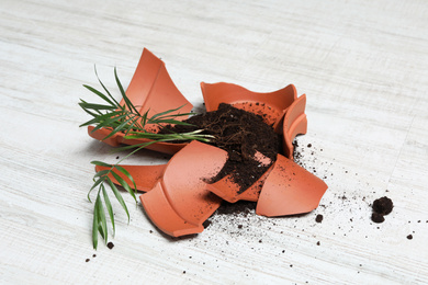 Broken terracotta flower pot with soil and plant on white wooden floor