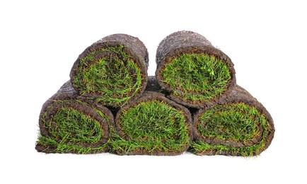 Rolls of grass sod on white background
