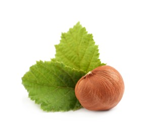 Tasty organic hazelnut and leaves on white background