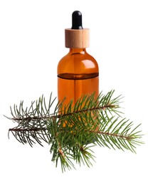 Bottle of pine essential oil on white background
