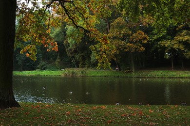 Beautiful view of green public city park with river on autumn day