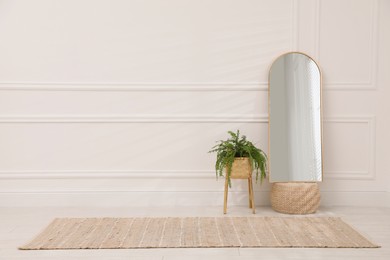 Stylish room interior with beige rug, mirror and plant. Space for text