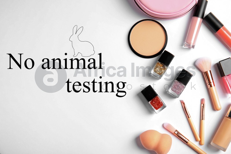 Cosmetic products and text NO ANIMAL TESTING on white background, flat lay