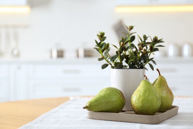 Fresh ripe pears and plant on table in kitchen. Space for text