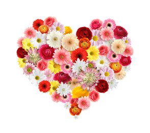 Beautiful heart shaped composition made with tender flowers on white background