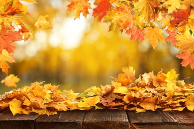 Wooden surface with beautiful autumn leaves on blurred background