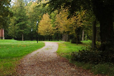Pathway for walking and jogging in green beautiful public city park on autumn day