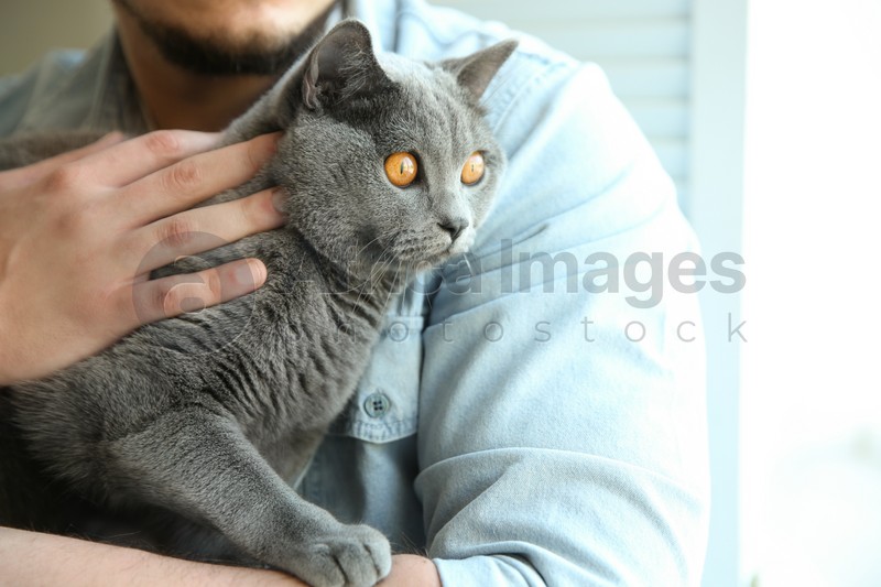 Photo of Man with cute cat on blurred background, closeup