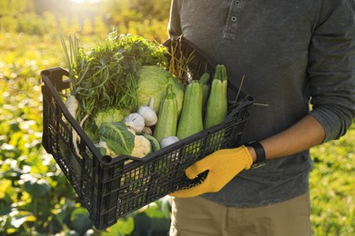 Man with crate of different fresh ripe vegetables on farm, closeup