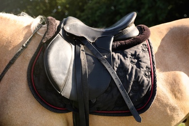 Photo of Leather saddle with stirrups on horse, closeup