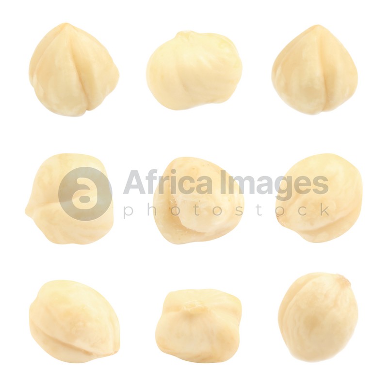 Set with tasty hazelnuts on white background 