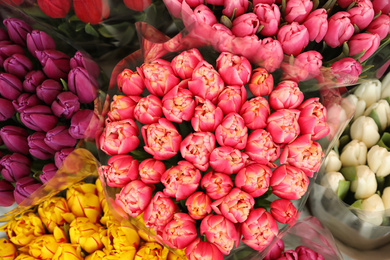 Beautiful bouquets of tulip flowers, top view. Floral decor