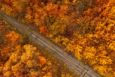 Beautiful aerial view of autumn forest crossed by railway