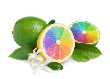 Image of Fresh lemon and lime with rainbow segments on white background. Brighten your life