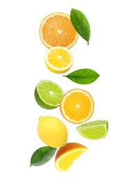 Image of Different fresh citrus fruits and leaves falling on white background