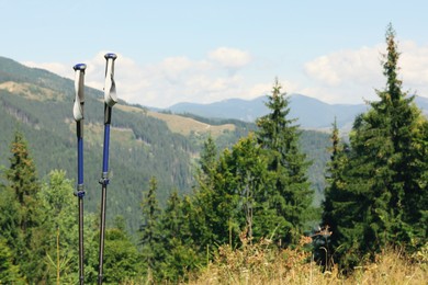 Trekking poles in mountains, space for text. Hiking accessory