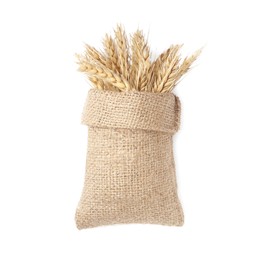 Sack with ears of wheat on white background, top view