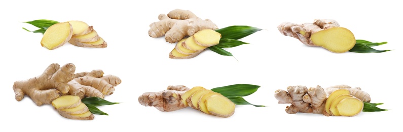 Image of Set of fresh aromatic ginger with green leaves on white background. Banner design 