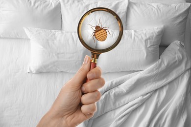 Woman with magnifying glass detecting bed bugs in bedroom, top view