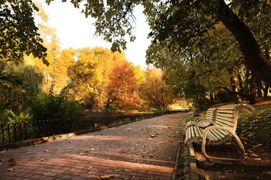 Photo of Beige wooden benches and yellowed trees in park
