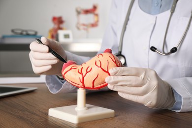 Gastroenterologist showing human stomach model at table in clinic, closeup