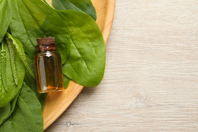 Bottle of broadleaf plantain extract and leaves on wooden table, top view. Space for text