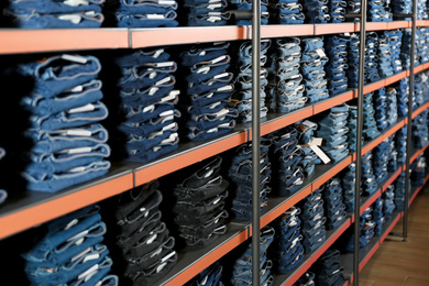 Collection of stylish jeans on shelves in shop