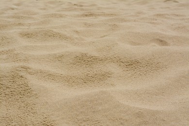 Texture of sandy beach as background, closeup