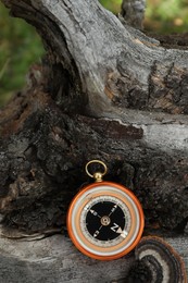 Compass on log, closeup view. Navigation device
